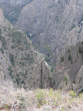 IMG_1825