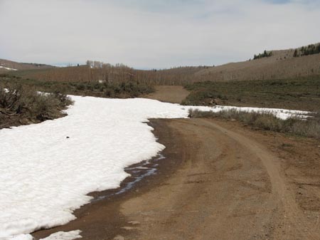 IMG_2254 roadblock - rare failure by Mrs Tomtom