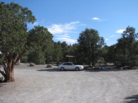 IMG_2450b loneliest visitor on Americans loneliest road