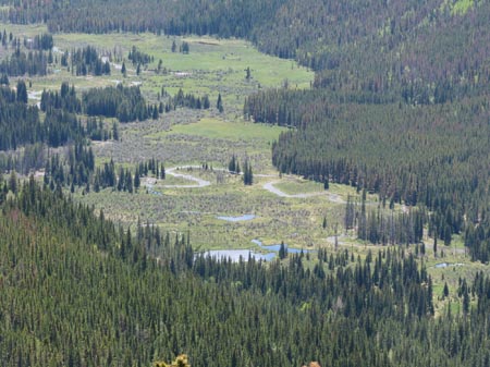 IMG_3808