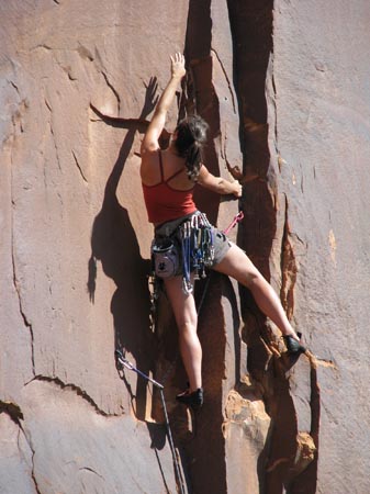 IMG_2100 climber