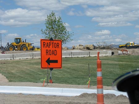 IMG_1971 raptor road